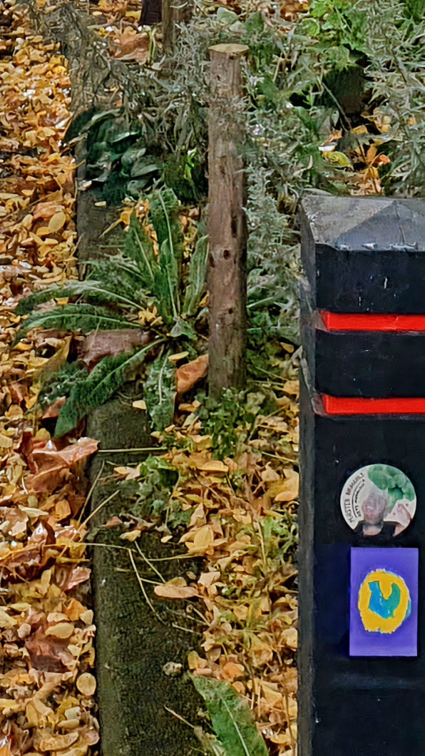 This image showcases a black post adorned with two stickers. The focus is on the lower sticker which is rectangle shaped and features a vivid blue shape outlined in yellow, set against a purple background. Above it, there's a round sticker with text visible. The post stands amidst a backdrop of fallen leaves and foliage, adding an autumnal touch to the scene.