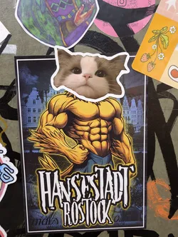 Street sticker Sticker featuring a muscular body with a Ragdoll cat's head. The background features a city landscape, possibly Rostock, Germany.  The text 'Hansestadt Rostock' is prominently displayed.