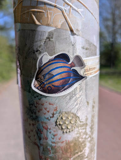 A sticker of a vividly colored fish is stuck to a pole. The fish has a blue-striped pattern, orange and dark blue colors. The pole itself is covered in layers of other materials, including remnants of other stickers and a decorative element composed of small, clear, round shapes. The background is blurred.