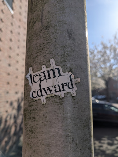 A white sticker with black text is adhered to a light pole. The text reads "Team Edward". The sticker has a unique, slightly irregular shape.