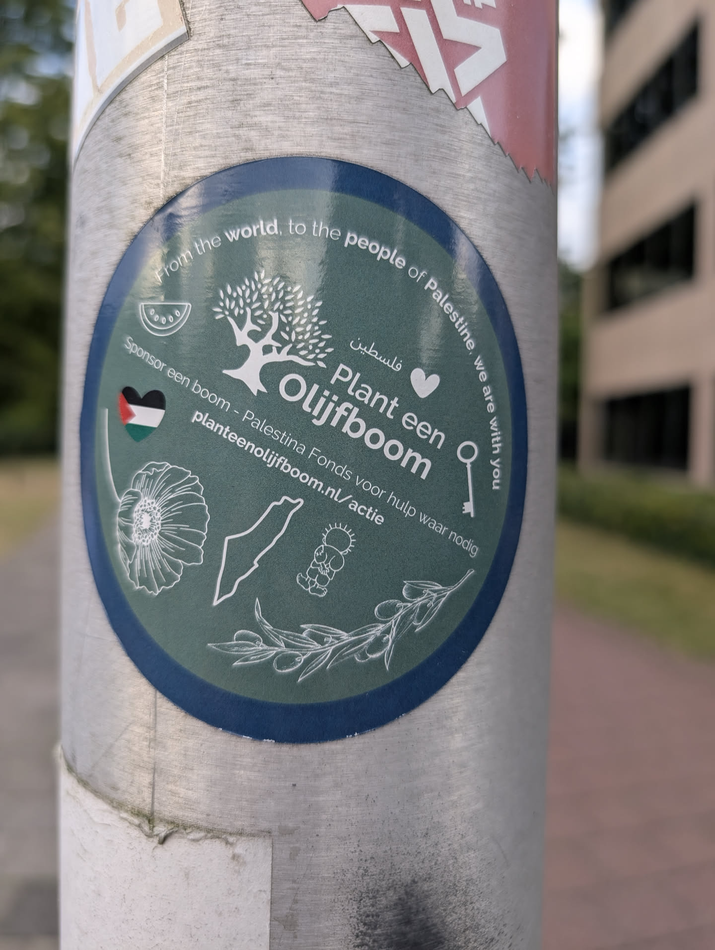 Circular green sticker with a blue border. Features white line drawings of an olive tree, watermelon, key, poppy, map of Palestine, Handala, and an olive branch. Includes a heart-shaped Palestinian flag and Dutch text encouraging olive tree sponsorship.