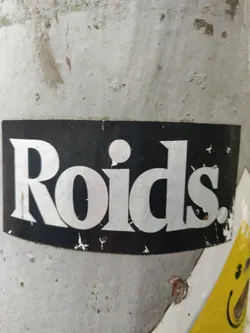 A black and white sticker with the word "Roids." in a bold, stylized font. The sticker is affixed to a grey pole outdoors, showing some signs of wear and tear.