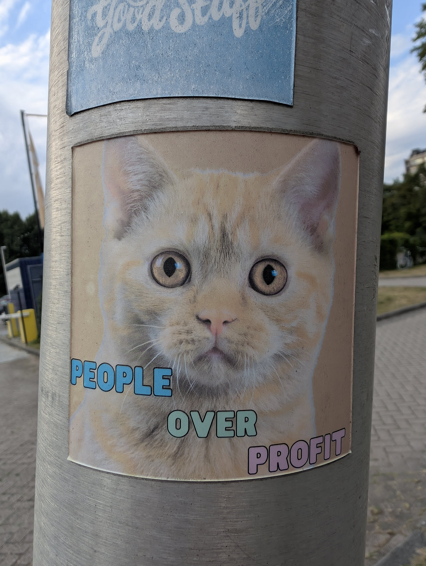 Square sticker featuring a close-up of a wide-eyed ginger kitten on a peach background. The text 'PEOPLE OVER PROFIT' is displayed at the bottom in blue, green, and pink outlined fonts.