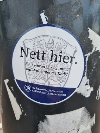 Street sticker Nett hier. Aber waren Sie schonmal auf Wallersteerer Kerb? wallersteerer_kerweborsch wallersteever_herwemaedcher