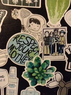 Street sticker A collection of stickers featuring various designs, including a girl astronaut, a group of people, a succulent plant, and a globe with the message 'Respect Your Mother'.