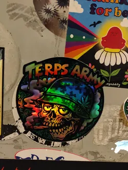 This holographic sticker showcases a skull in a military helmet, exhaling smoke. The text 'TERPS ARMY' is prominently displayed above the illustration. The overall aesthetic is dark and vibrant, with holographic elements adding a shiny effect.