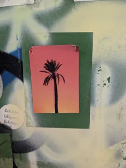 Street sticker The sticker features a silhouette of a palm tree against a vibrant gradient background that transitions from a warm orange at the bottom to a soft pink at the top, mimicking a sunset. It is printed on a rectangular piece of paper with slightly torn edges and attached to a green backing. The overall impression is tropical and summery.