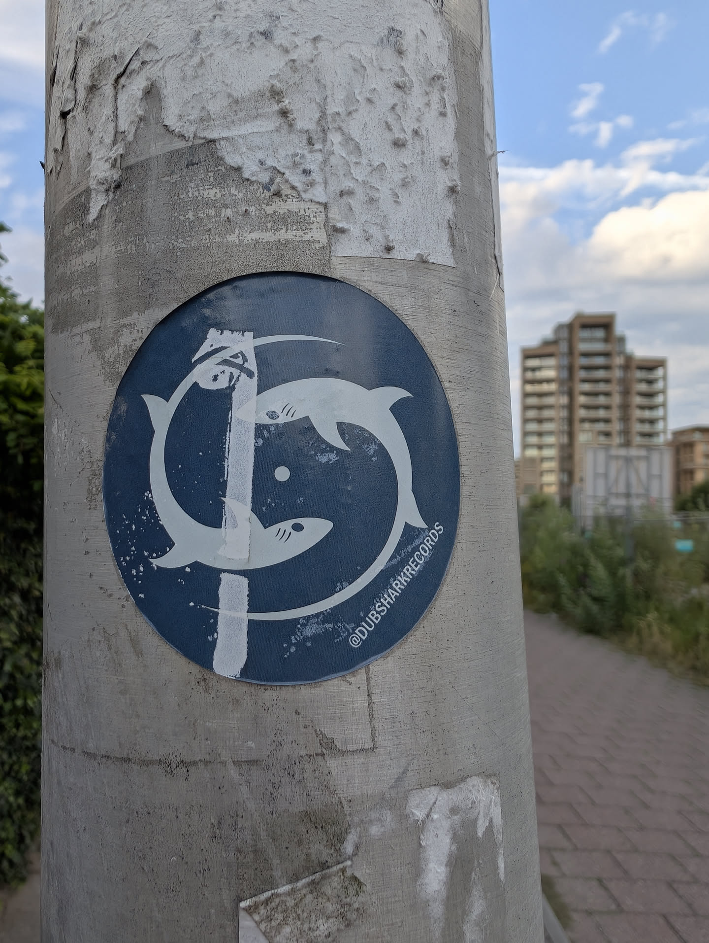 A circular dark blue sticker showing two white sharks swimming in a circular pattern, bisected by a vertical white stripe. Features the text '@DUBSHARKRECORDS' along the bottom right edge.