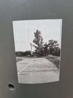 Street sticker A black and white photo sticker depicting a tree-lined street. The photo appears to be a landscape-oriented image showing a road with a white line, trees, and possibly a structure or monument in the background.