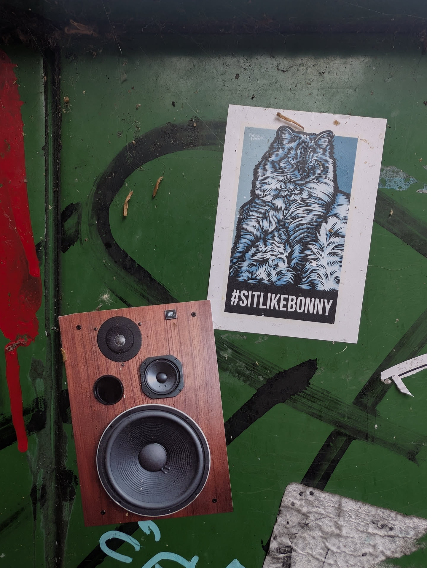 Street sticker The sticker features a striking, detailed illustration of a fluffy cat with piercing blue eyes, rendered in shades of blue, black, and white. The cat is depicted from the chest up, looking directly at the viewer. Below the illustration, in a black rectangular box, is the white text "#SITLIKEBONNY". The sticker itself has a white border and appears to be affixed to a green, graffiti-covered surface.