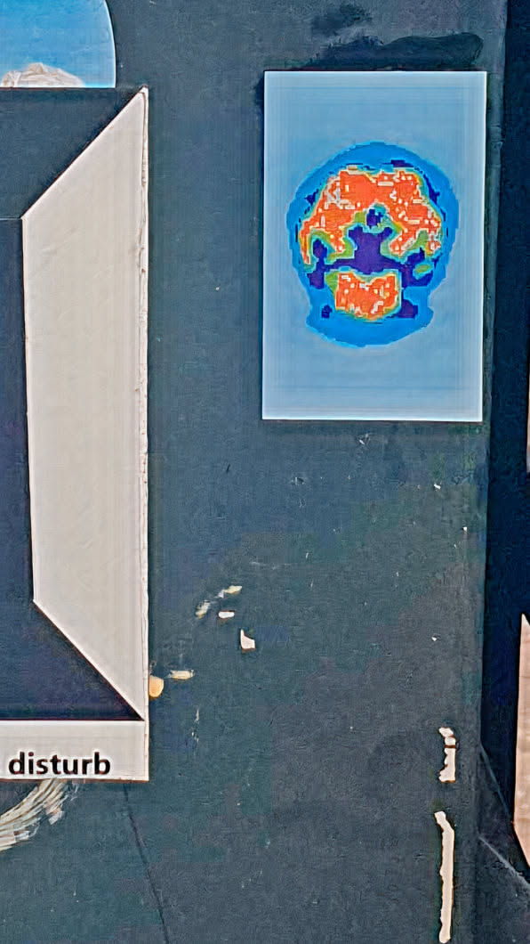 A sticker with a skull-shaped map. It is displayed with colorful thermal readings. The skull map is featured on a light blue background. There is a sticker on the left with a text "disturb".