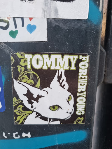 Street sticker Amsterdam ST TOMMY FOREVERYOUNG LGC