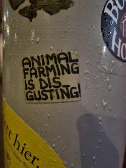 Street sticker A square sticker with black text on a white background. The text says: ANIMAL FARMING IS DISGUSTING!. The sticker is affixed to a surface that appears to be wet or has condensation.
