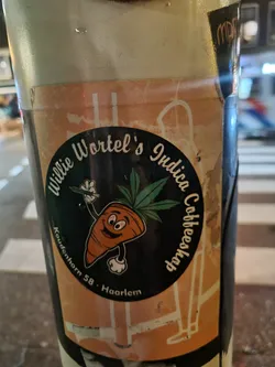 Street sticker Sticker for Willie Wortel's Indica Coffeeshop located at Koudhorn 58, Haarlem.  The sticker features a cartoon carrot character holding a pencil and a cannabis leaf.