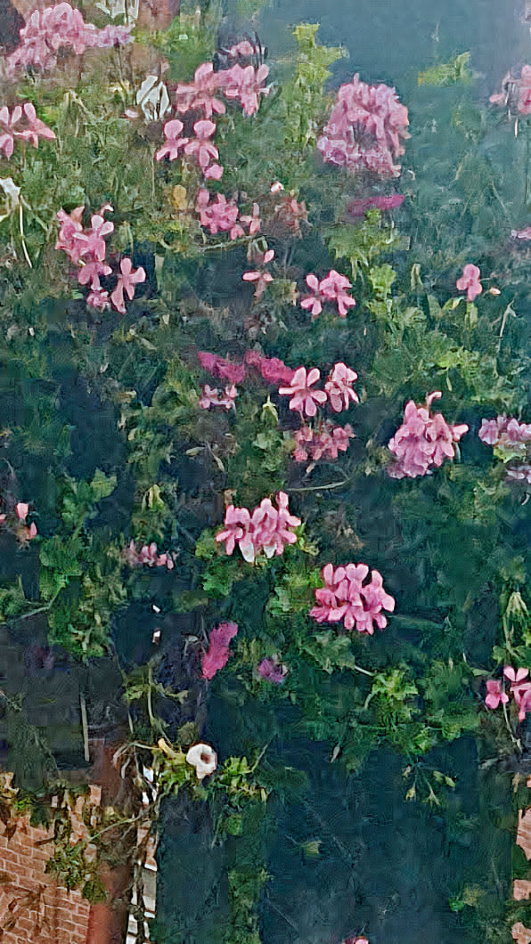 An artistic image featuring a bush adorned with numerous pink geraniums. The flowers are a mix of deep and light pink hues, adding depth to the floral arrangement. The background is a blend of green foliage, creating a natural and aesthetically pleasing backdrop.
