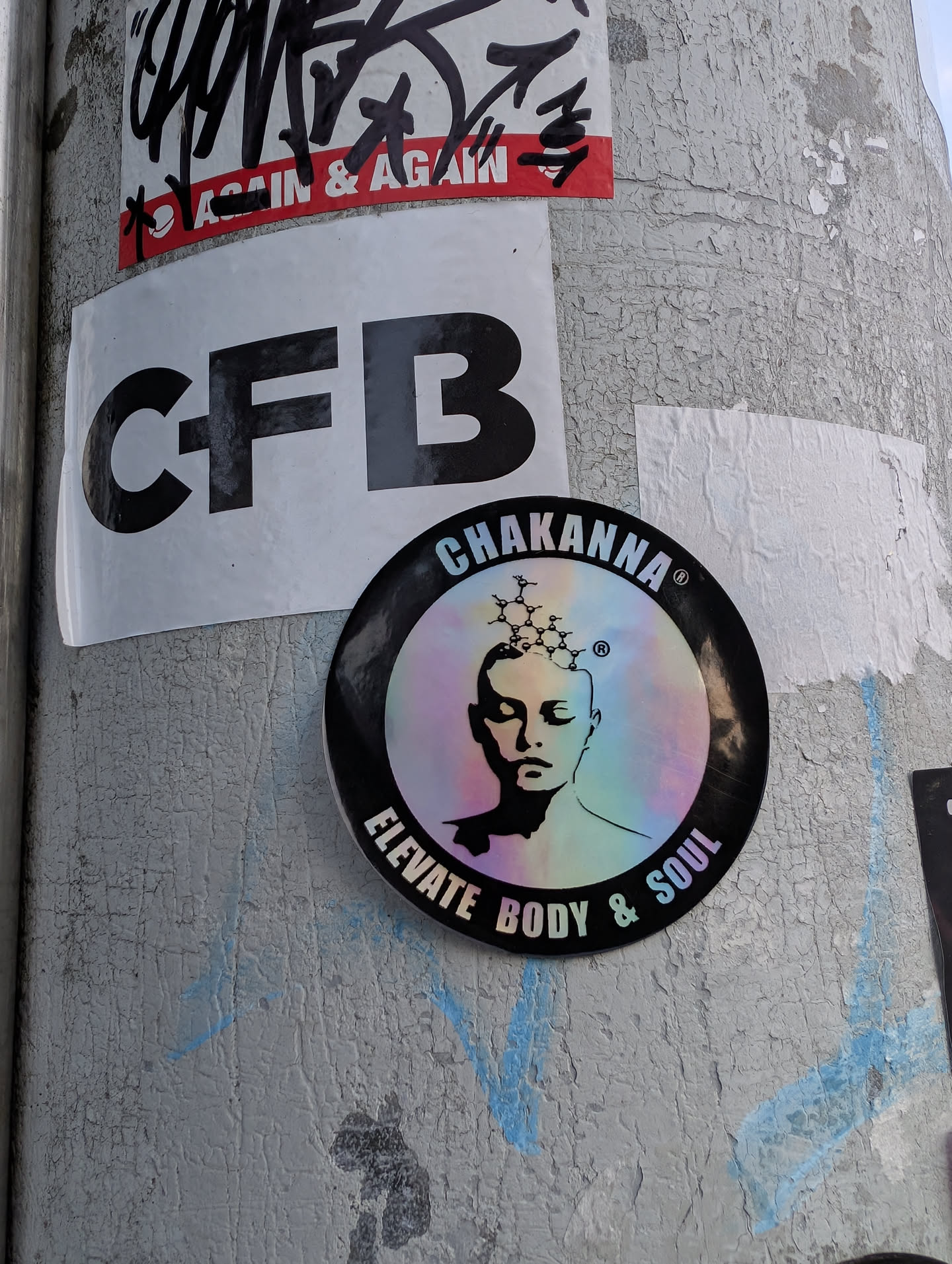 A circular sticker with a black border and a holographic, iridescent center. It features a black silhouette of a serene face with a chemical molecular structure emerging from the head. Text reads 'CHAKANNA®' at the top and 'ELEVATE BODY & SOUL' at the bottom.
