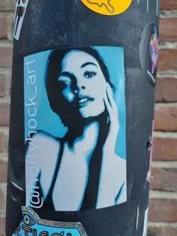 Close-up view of a sticker featuring a stylized portrait of a woman's face in shades of blue and white. The sticker has a minimalist design and a slightly grainy texture. The artist's Instagram handle is visible on the sticker.