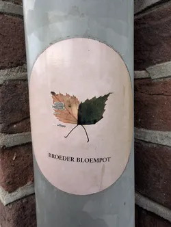 Street sticker An oval, pale pink sticker affixed to a grey pipe. It features a central leaf graphic split vertically down the middle: the left half is orange-brown with minor surface damage, and the right half is dark green. Below the leaf, the text 'BROEDER BLOEMPOT' is printed in black serif capital letters.