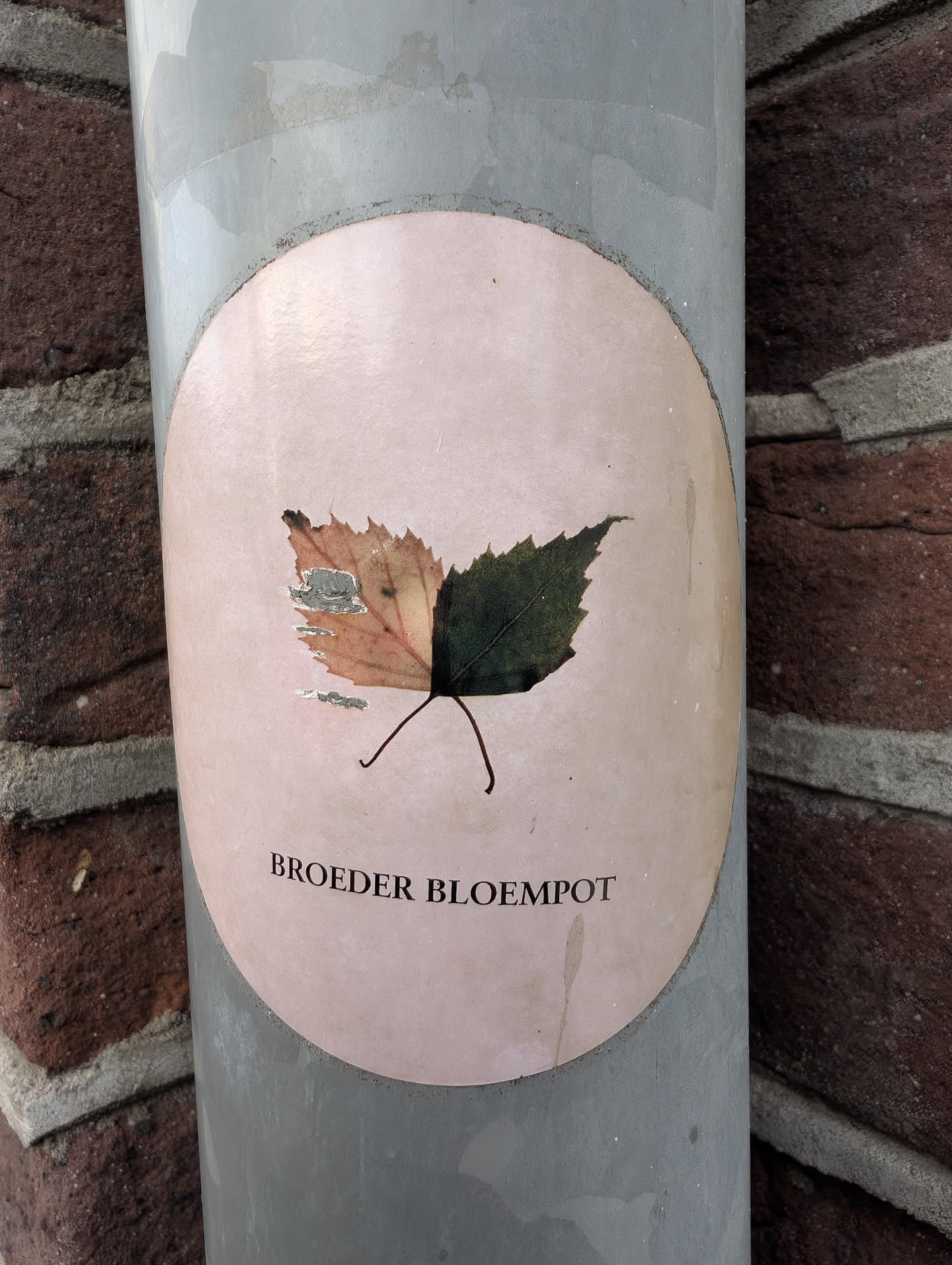 An oval, pale pink sticker affixed to a grey pipe. It features a central leaf graphic split vertically down the middle: the left half is orange-brown with minor surface damage, and the right half is dark green. Below the leaf, the text 'BROEDER BLOEMPOT' is printed in black serif capital letters.