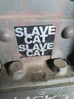 Street sticker The sticker is rectangular with a black background and bold, silver capital letters. The text 'SLAVE CAT' is repeated twice, one above the other. The sticker shows some wear and appears to be slightly peeling at the bottom right corner. It is adhered to a rough, textured, gray metallic surface that has some reddish streaks and is dusty.