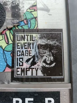 Street sticker Black and white sticker with a gorilla's face and the text "Until every cage is empty". There is a website address at the bottom right corner.