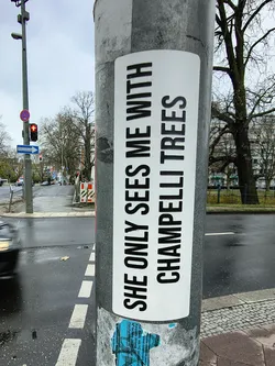 A rectangular sticker with a white background and bold, black uppercase text. The text is arranged vertically in two lines, reading 'SHE ONLY SEES ME WITH' on the left and 'CHAMPELLI TREES' on the right. The sticker has slightly rounded corners and appears to be adhered to a grey utility pole, showing minor signs of wear and tear consistent with outdoor placement.