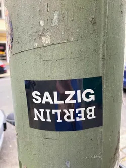 A rectangular black sticker featuring bold, white, sans-serif text. The top line displays 'SALZIG' horizontally, while the bottom line shows 'BERLIN' printed upside down. The sticker has a noticeable sheen, reflecting a blurred blue and dark shape, suggesting it's made of a reflective material. It is affixed to a worn, textured, olive-green metal pole that shows signs of age and previous peeling layers.