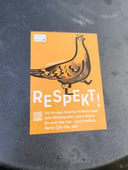 Street sticker A sticker featuring a cartoon pigeon wearing a hat, with the word "RESPEKT!" prominently displayed. The text below is in German and translates roughly to: "I'm your little feathered buddy, your grain picker from the Spree River. You and I here - quite peacefully, Berlin City-life, olé!"
