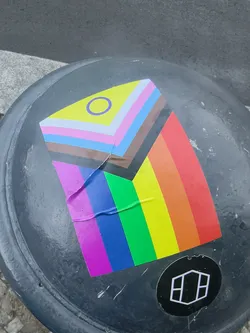 Street sticker A rectangular sticker depicting the Progress Pride Flag with intersex inclusion (yellow triangle and purple circle). It is adhered to a dark, curved surface and shows slight creasing.