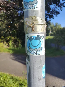 Street sticker The sticker at the center features a stylized blue frog with large, round, dark eyes and a wide, curved mouth, giving it a happy expression. It has small, rounded feet held in front of its body. Above its head, to the right, is a small white heart. The frog is outlined in black, and the background of the sticker is light blue, enclosed by a circular border. Above the frog's head, the word "WANSH" is written in stylized, blocky blue letters with a black outline. Below the frog's feet, the word "WANSH" is repeated in similar lettering. There are also some small, unreadable markings or signatures in the upper left and lower right corners of the sticker.