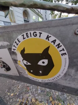 Street sticker A round yellow sticker with a black cat illustration in the center. The text around the cat says "Katze zeigt Kante" (cat shows edge) and at the bottom "Schutz durchsetzen" (enforce protection). The sticker is attached to a grey metal surface.