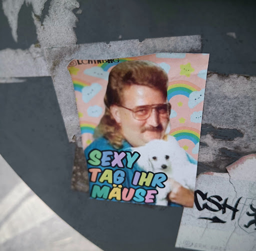 Street sticker Berlin LCHINBIG SEXY TAG IHR M&Auml;USE CSH