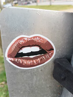 A sticker of a pair of lips with a detailed illustration of the teeth. The sticker is brown and has been placed on a grey metal surface. It looks like a sticker made by a designer or artist.