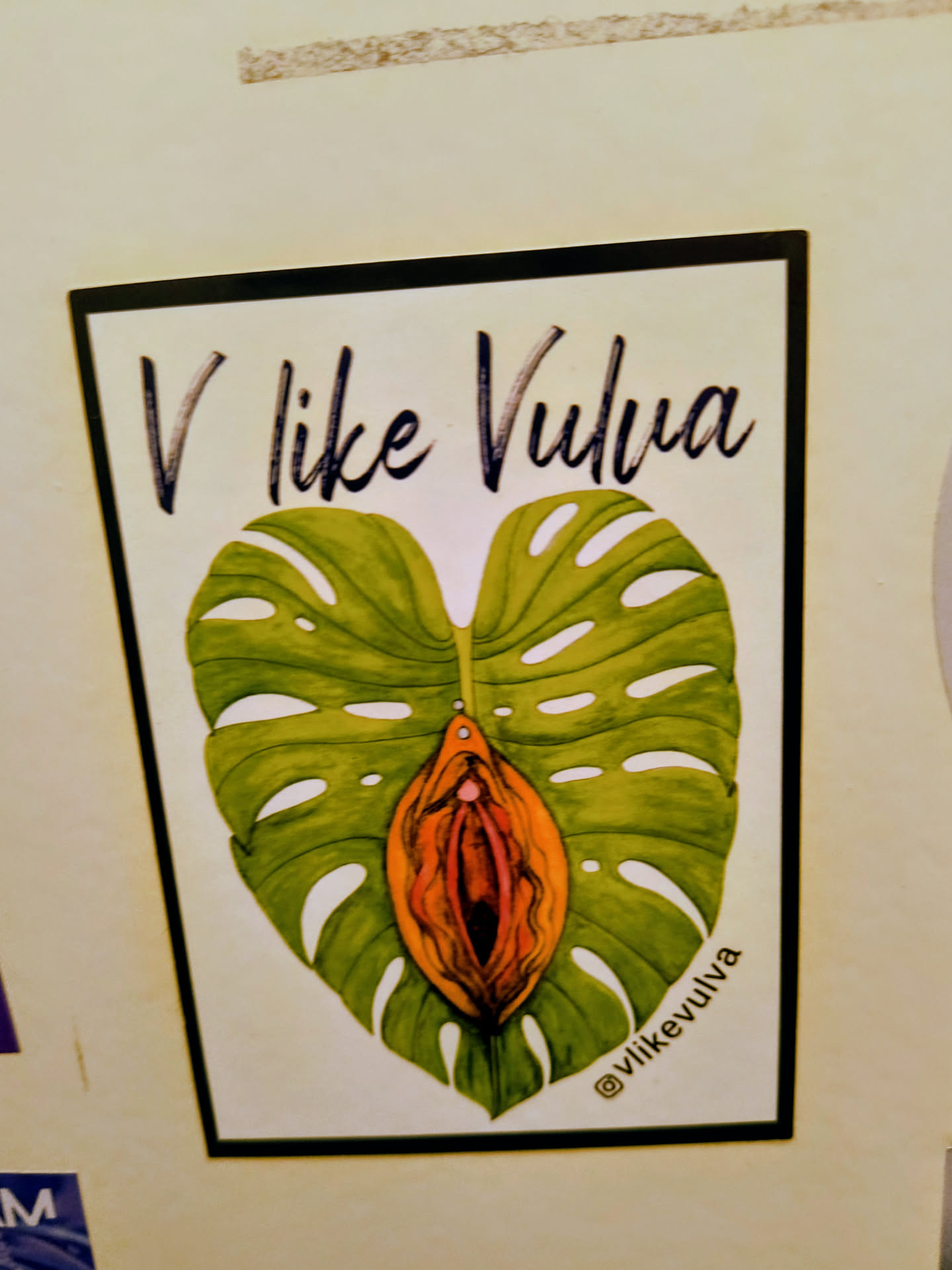 Street sticker The sticker features a stylized illustration centered on a white background with a thin black border. The main image depicts a vibrant green monstera leaf, split down the middle and arranged to resemble a heart or butterfly wings. Nestled within the center of the leaf, where the two halves meet, is an artistic representation of a vulva, rendered in shades of orange, red, and deep pink, giving it the appearance of a tropical fruit or flower. Above the illustration, in a flowing black script, is the text 'V like Vulva'. In the bottom right corner, also in black script, is the social media handle '@vlikevulva'. The overall aesthetic is bold, colorful, and organic.