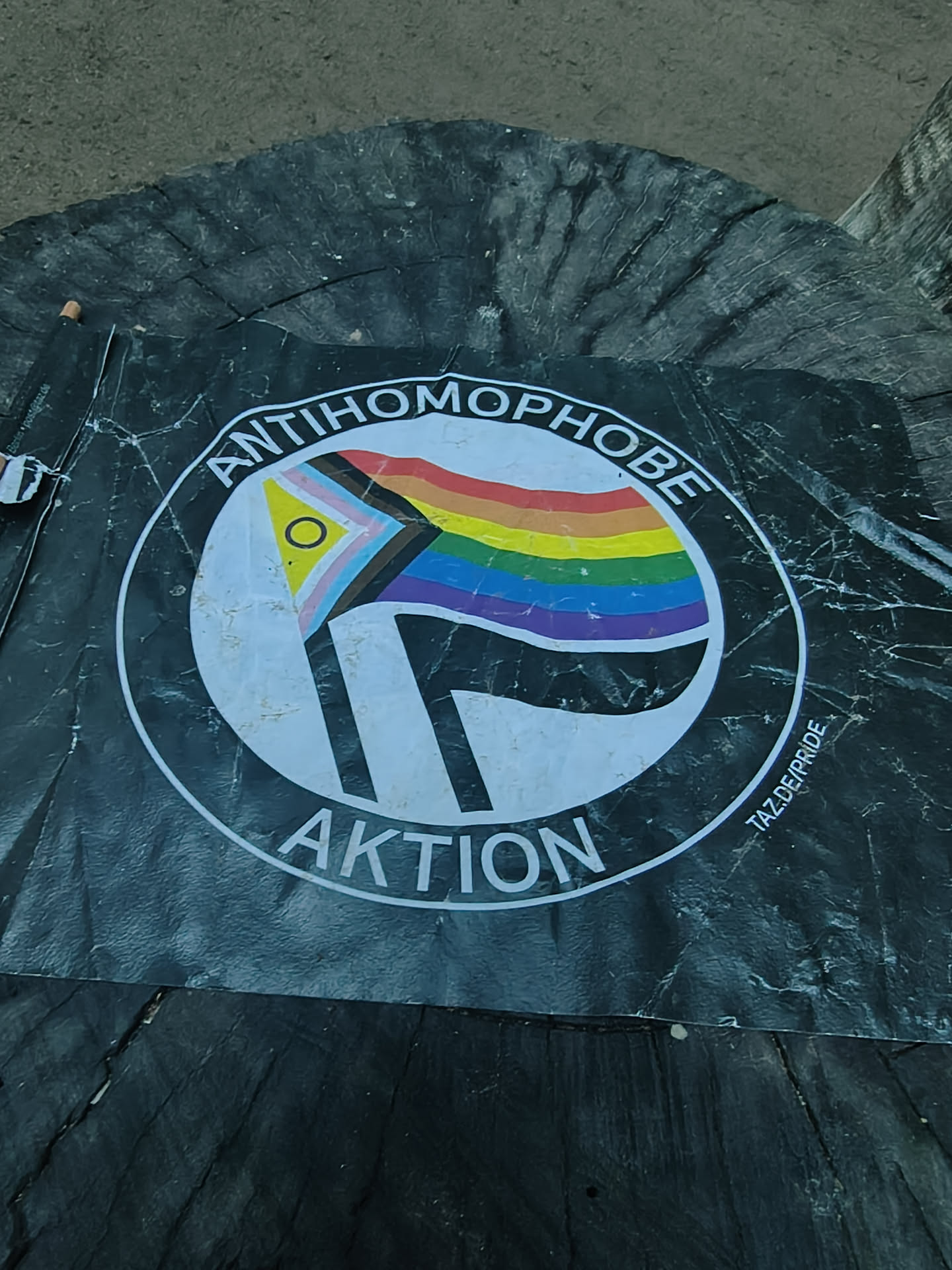 Circular sticker on a black background featuring a Progress Pride flag and a black flag, styled after the Antifascist Action logo. Text reads 'ANTIHOMOPHOBE AKTION' with 'TAZ.DE/PRIDE' on the side.