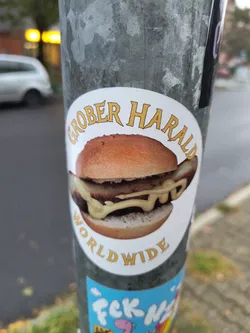 Street sticker The sticker features a realistic depiction of a hamburger with a sausage patty and generous amounts of mustard. The bun is golden brown, and the sausage appears to be grilled. The text 'GROBER HARALD' is arched above the burger in a stylized, yellow font with a darker outline. Below the burger, also in a similar yellow font, is the word 'WORLDWIDE', also arched. The sticker has a white background with a thin white border.