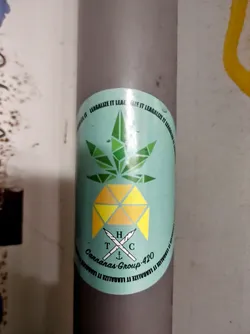 Street sticker Round sticker with a teal background featuring a geometric pineapple design incorporating a cannabis leaf. The text includes 'Cannanas Group 420' and the phrase 'Legalize it' repeated around the circumference.  There is also a small logo with the letters 'THC' and an anchor.