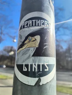 Street sticker A round sticker featuring a drawing of a bird's head. The bird has black feathers, a yellow beak, and a piercing blue eye. The background of the sticker is filled with a faint pattern of feathers. The text 'FEATHERS' is written above the bird and 'LINTS' below it in a stylized font.