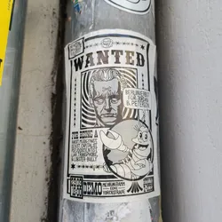 A black and white sticker in the style of a wanted poster. It depicts a caricature of Jordan B. Peterson with a lobster beside it, accusing Peterson of various negative traits and announcing a Berlin demonstration.