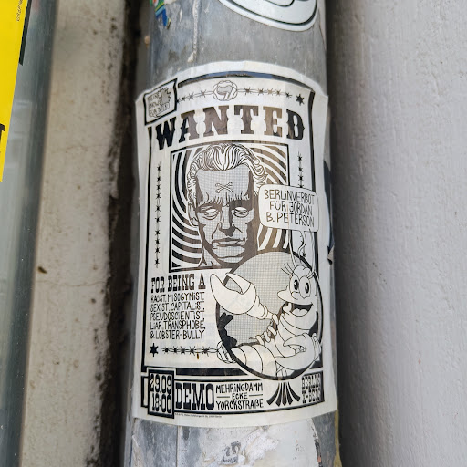 Street sticker A black and white sticker in the style of a wanted poster. It depicts a caricature of Jordan B. Peterson with a lobster beside it, accusing Peterson of various negative traits and announcing a Berlin demonstration.