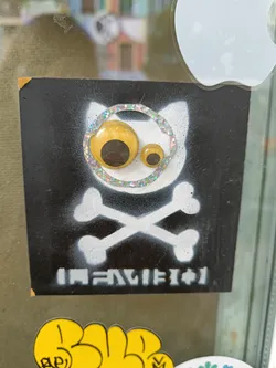 Street sticker A black and white sticker featuring a cat with googly eyes and crossbones. The text at the bottom is illegible. The sticker has a unique and slightly spooky aesthetic.