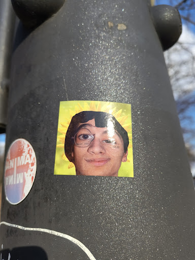 Street sticker The sticker shows a person's face edited with a sunflower theme. The person has glasses and a neutral expression. There is text above the glasses and under the right eye. The sticker is affixed to a metal pole.