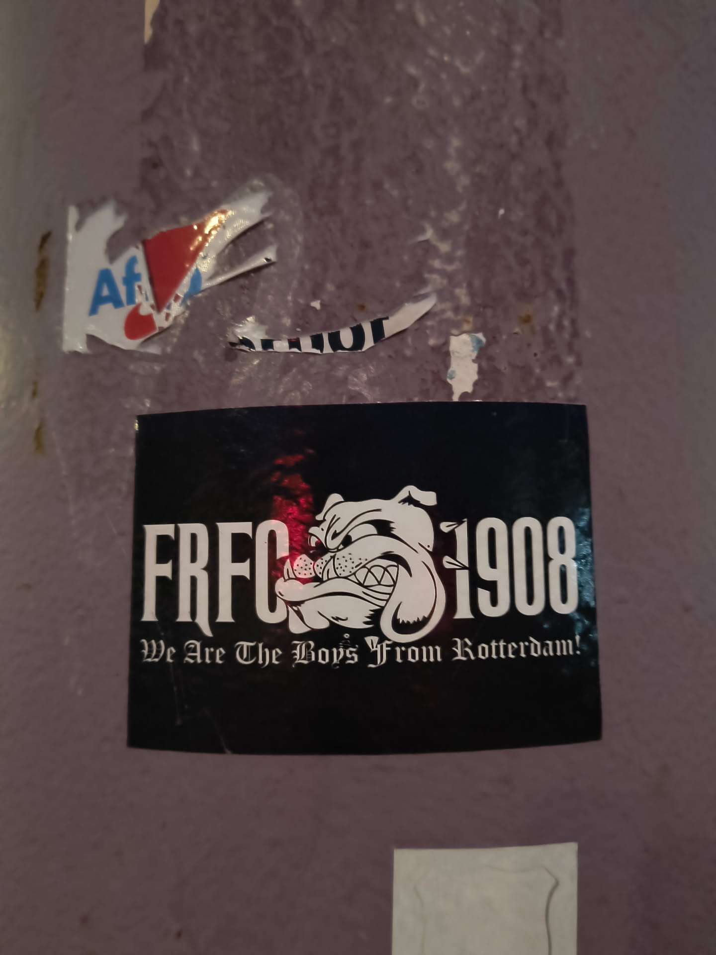 The sticker is rectangular with a black background. It features a stylized white illustration of a bulldog's head in profile, looking to the right. The bulldog has a fierce expression with bared teeth and a prominent jawline. To the left of the bulldog is the text 'FRFC' in large, bold, white, sans-serif font. To the right of the bulldog is the number '1908' in the same font style. Below the main text and image, in a smaller, ornate, white font, is the phrase 'We Are The Boys From Rotterdam!'. There are subtle red and white highlights behind the 'FRFC' text, suggesting a light source or a design element.