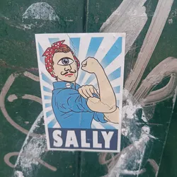 Street sticker A sticker featuring a pop art-style illustration of a woman with one eye, reminiscent of Rosie the Riveter, flexing her bicep. The text 'SALLY' is prominently displayed at the bottom.