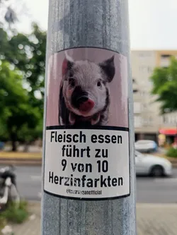 Street sticker A sticker featuring a piglet and a text in German stating that eating meat leads to 9 out of 10 heart attacks.  The sticker has a light pink background and is stuck on a metal pole. The image is slightly blurry but the text is legible.