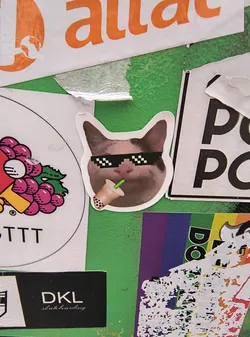 Street sticker The sticker features a close-up of a cat's face. The cat is wearing pixelated, black sunglasses that give it a 'deal with it' or 'thug life' meme aesthetic. It is holding a cup of boba tea with a green straw, with the tapioca pearls visible. The cat has brown and white fur, with its ears pointed upwards. The sticker has a white border and appears to be die-cut around the cat's shape.
