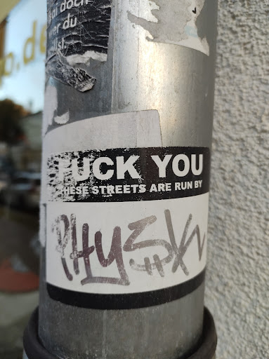 Street sticker Berlin FUCK YOU HESE STREETS ARE RUN BY