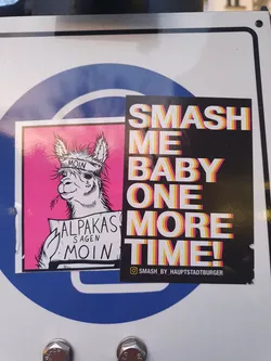 Street sticker A sticker with a llama holding a sign that says "Alpakas sagen Moin" and text that says "Smash me baby one more time!"
