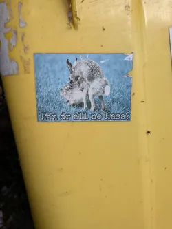 Street sticker A rectangular sticker on a yellow surface depicting two mating hares in a blue-toned grassy field. Stylized white text with black outlines at the bottom reads 'Han dr all no Hasa?'.