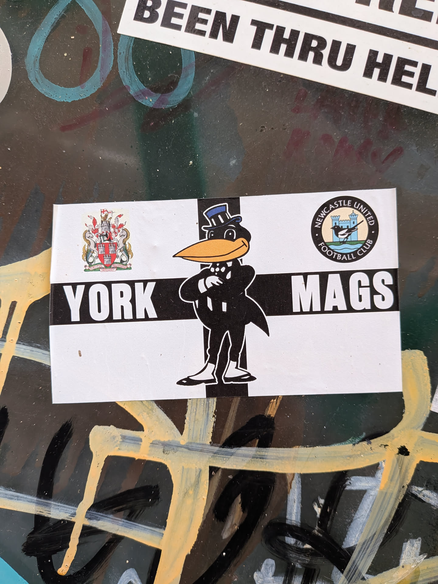 Rectangular black-and-white sticker featuring a cartoon magpie mascot in a suit. Flanked by the York coat of arms and Newcastle United crest, with 'YORK MAGS' text.